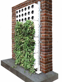 Pflanzwand-Systeme